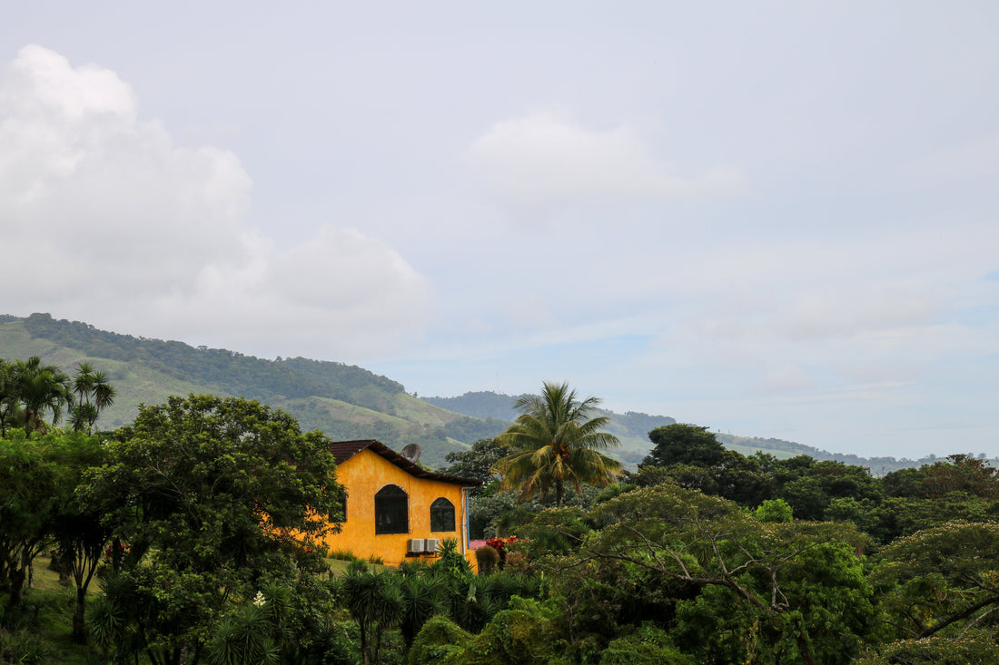 Chasing Waterfalls & Chocolate in Costa Rica