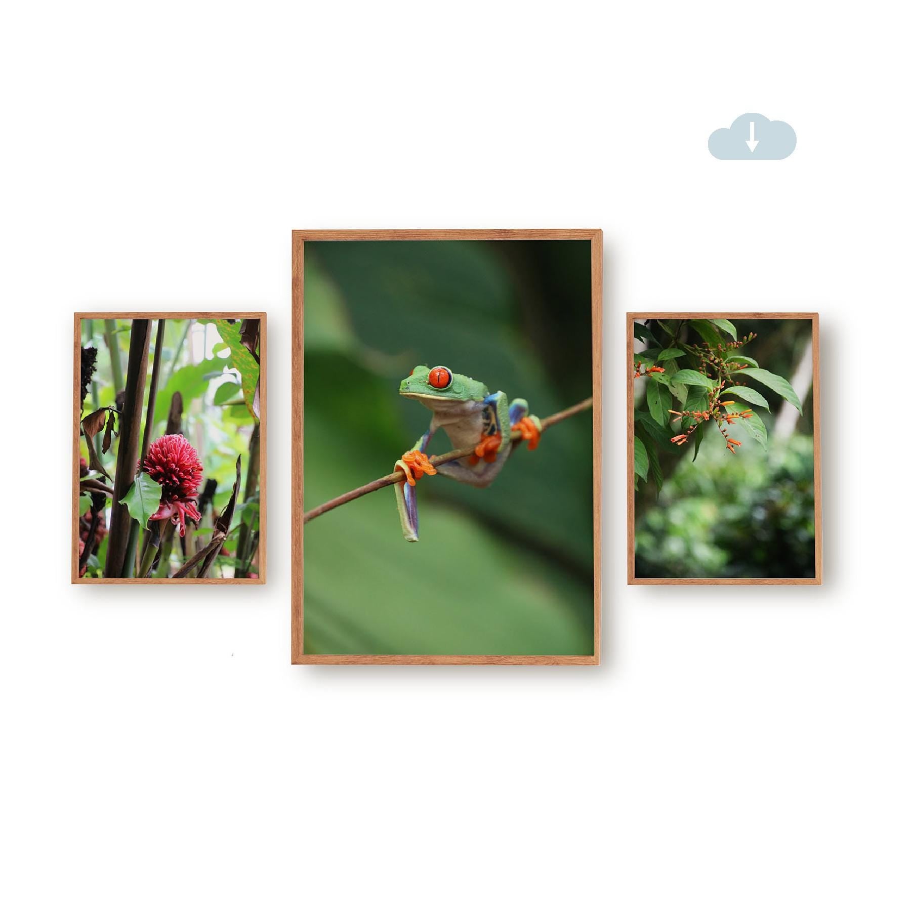 Set of 3 Travel Prints - Nature in La Fortuna, Costa Rica - Digital Download