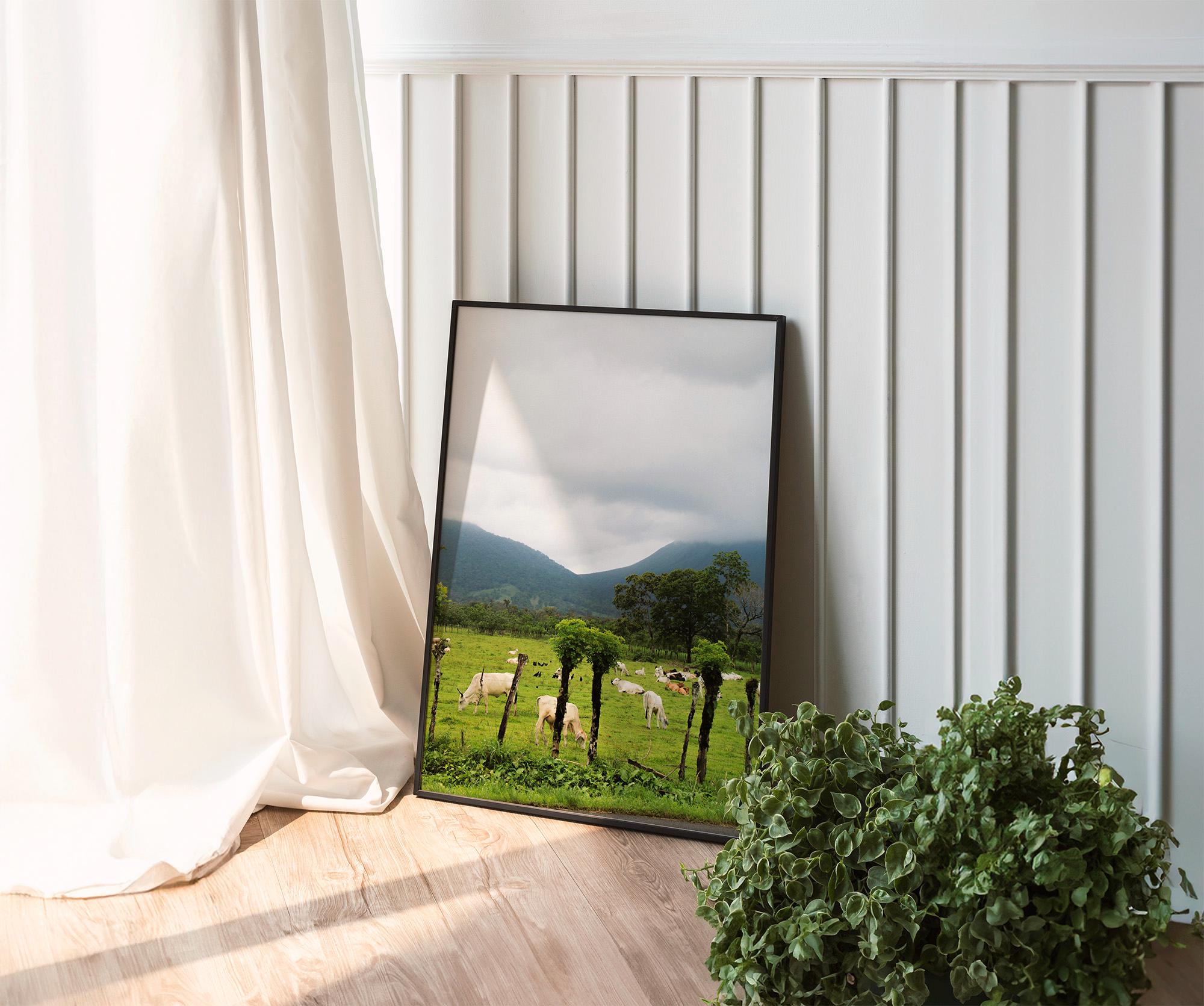 Cows in La Fortuna, Digital Download