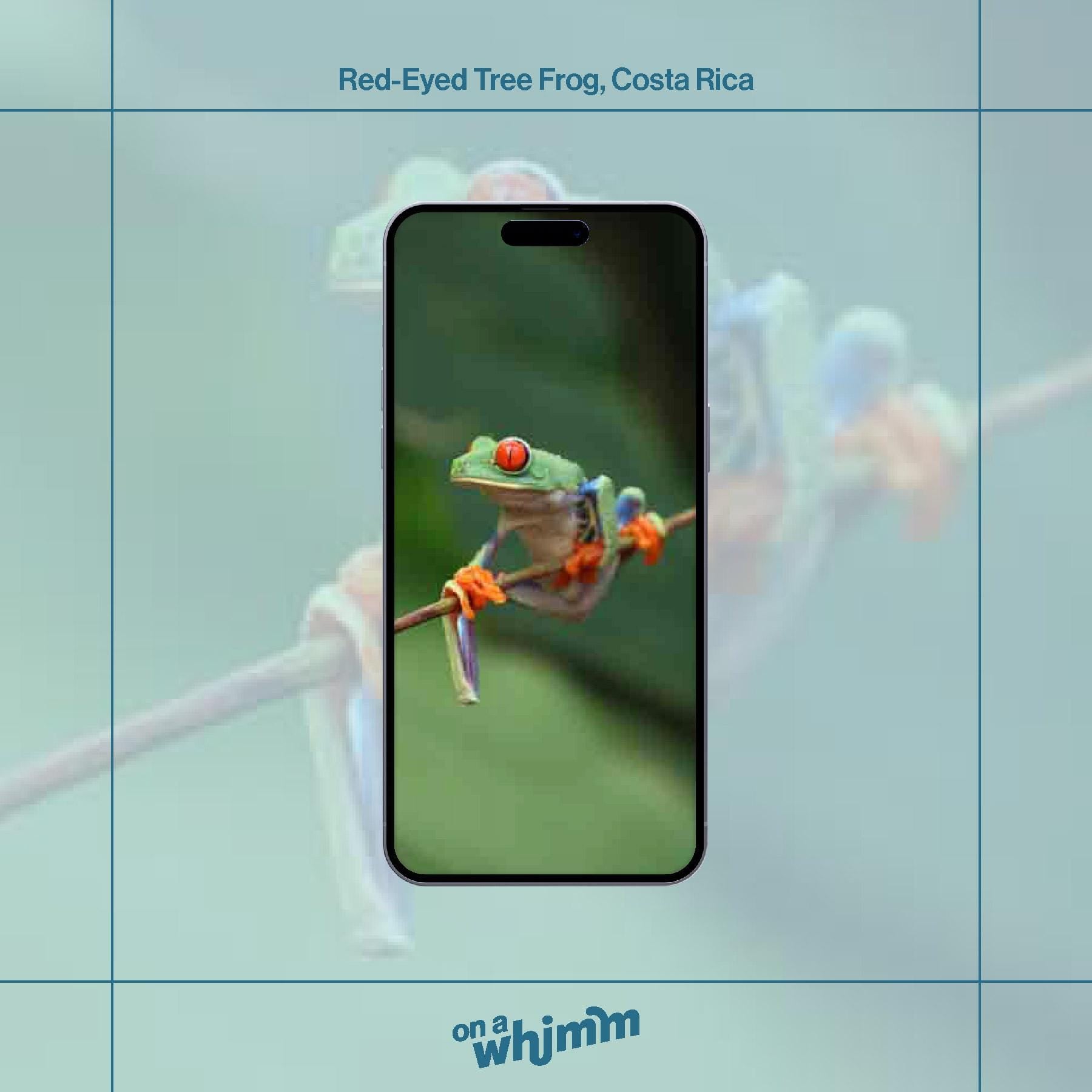 Phone Screensavers - Costa Rica Bundle Pack - Digital Download