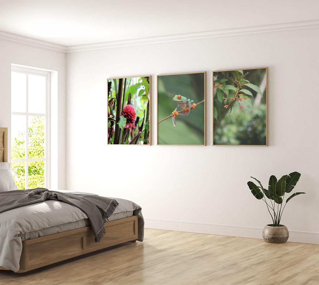 Set of 3 Travel Prints - Nature in La Fortuna, Costa Rica - Digital Download