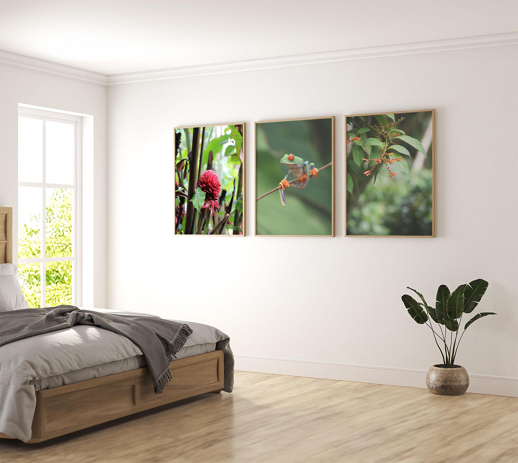 Set of 3 Travel Prints - Nature in La Fortuna, Costa Rica - Digital Download