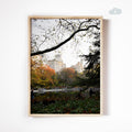 Central Park Autumn, Digital Download