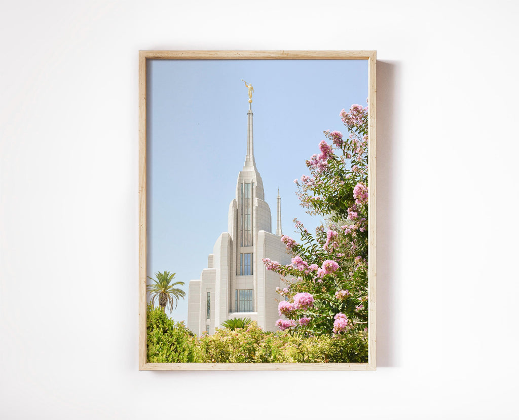 Pink Flowers at the Rome Italy Temple Print