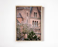 Spring Buds in Utrecht Print