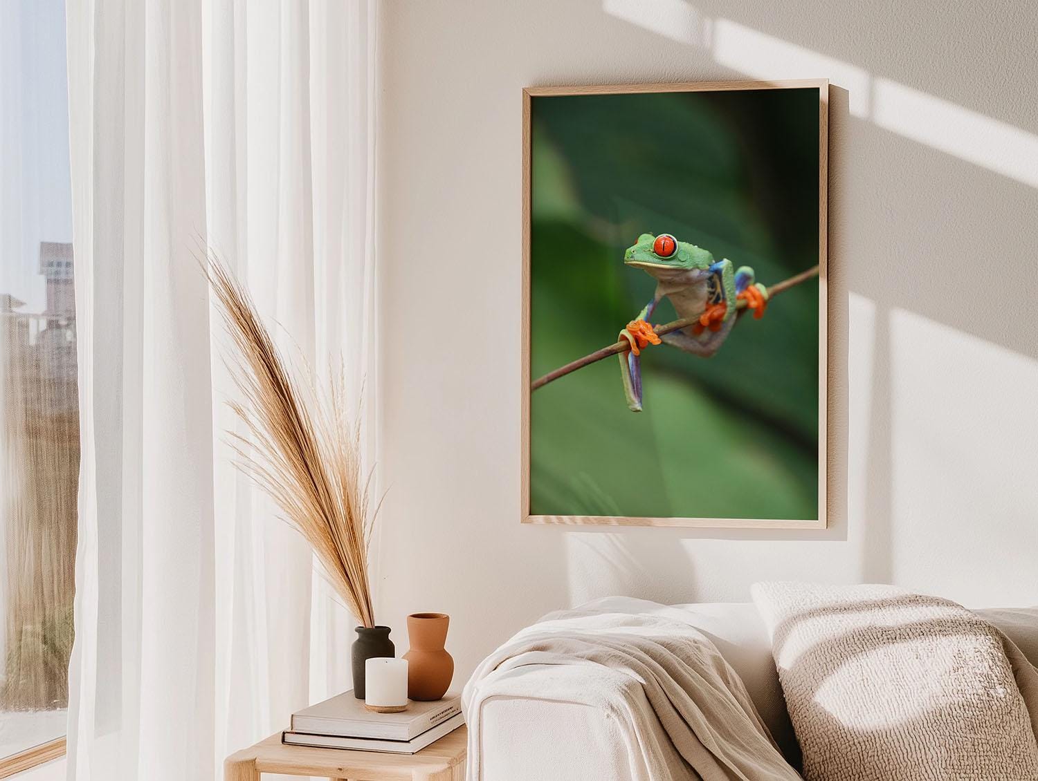 Red-Eyed Tree Frog, Digital Download