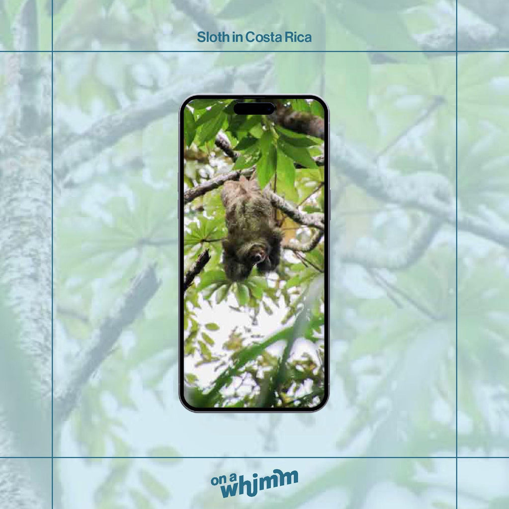 Phone Screensavers - Costa Rica Bundle Pack - Digital Download