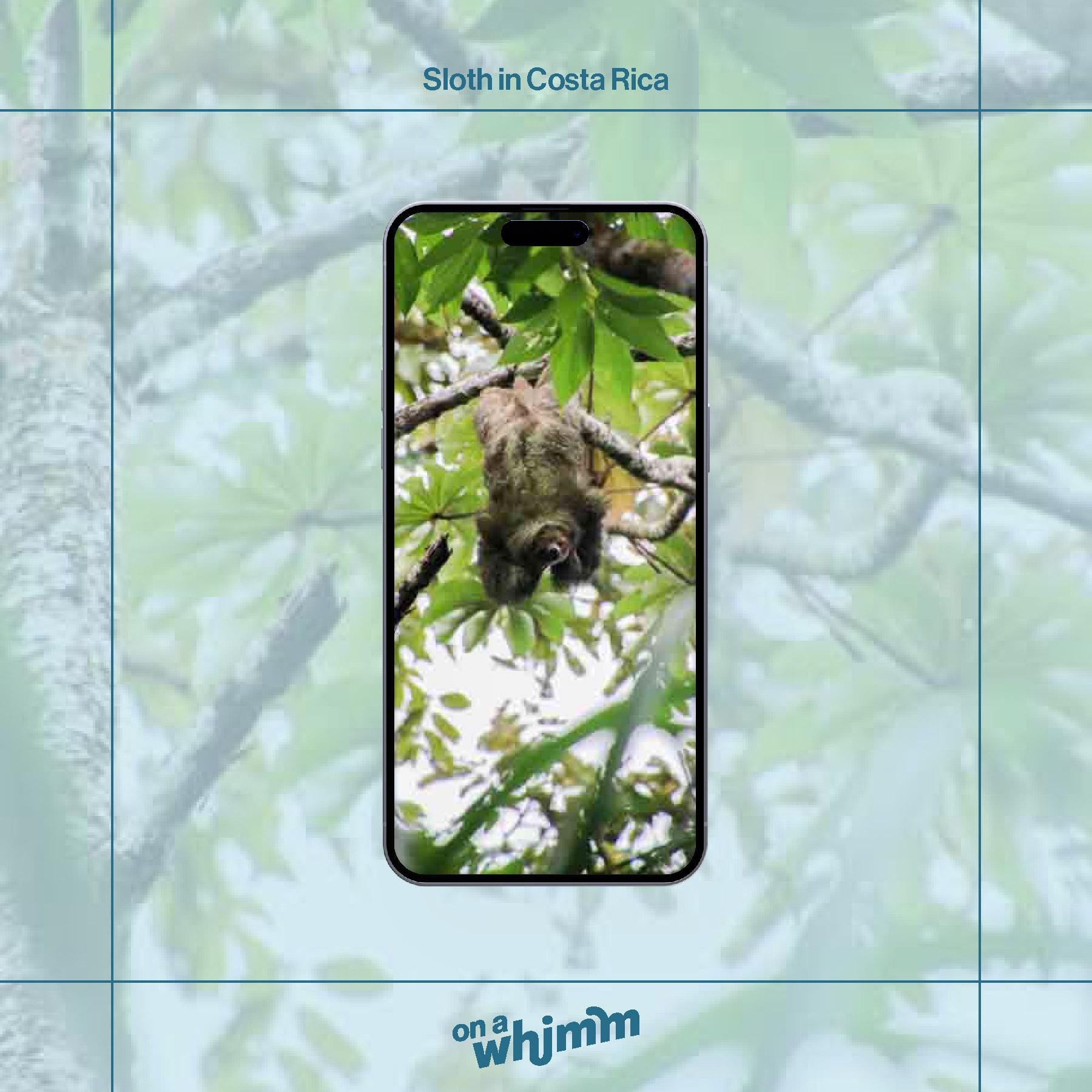 Phone Screensavers - Costa Rica Bundle Pack - Digital Download