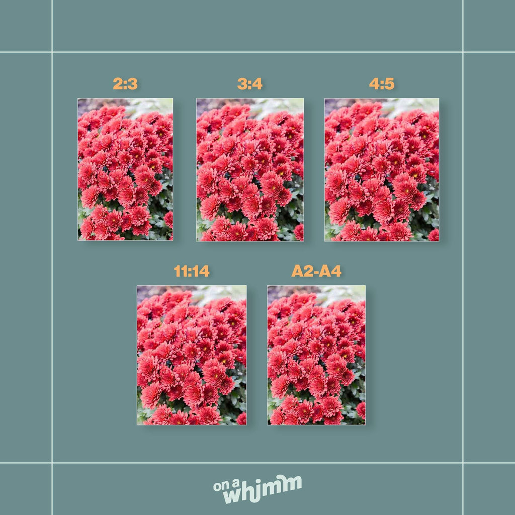 Red Chrysanthemum in NYC, Digital Download