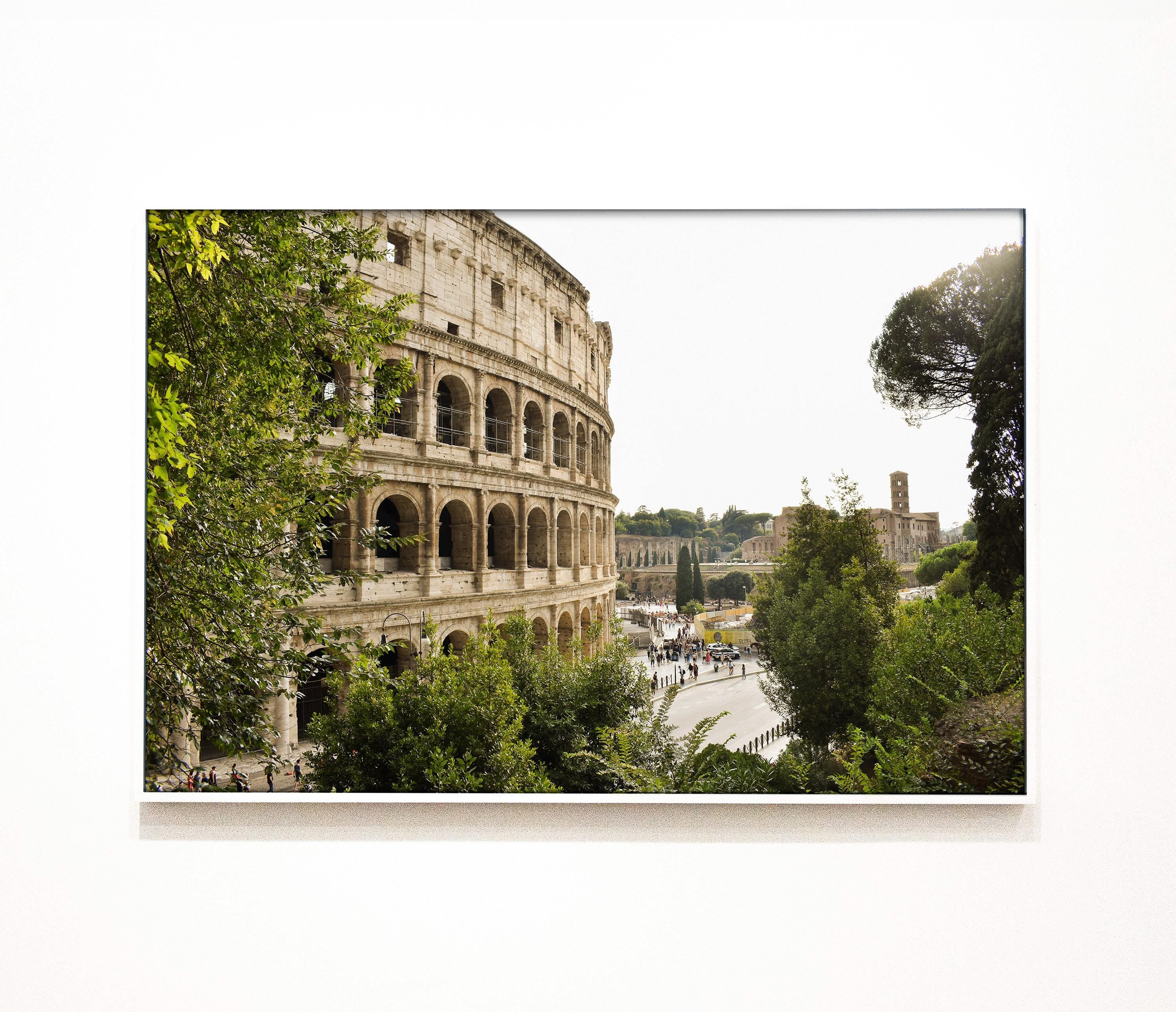 Roman Colosseum Print