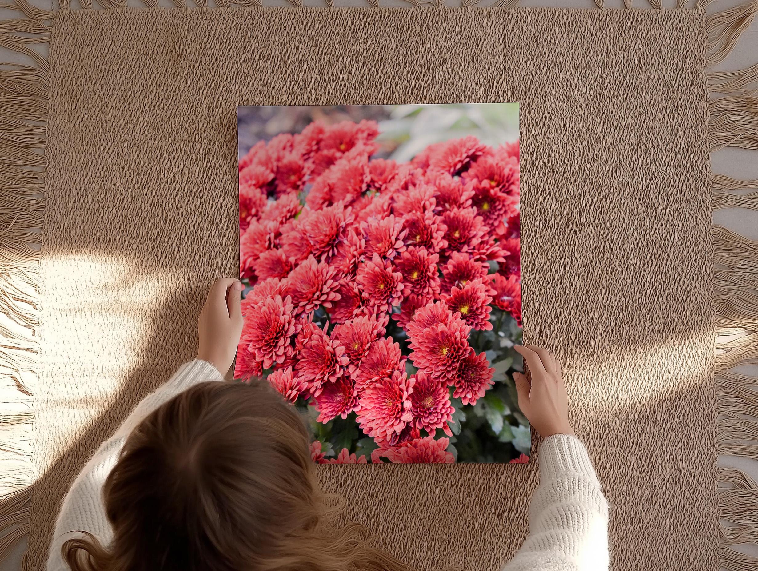 Red Chrysanthemum in NYC