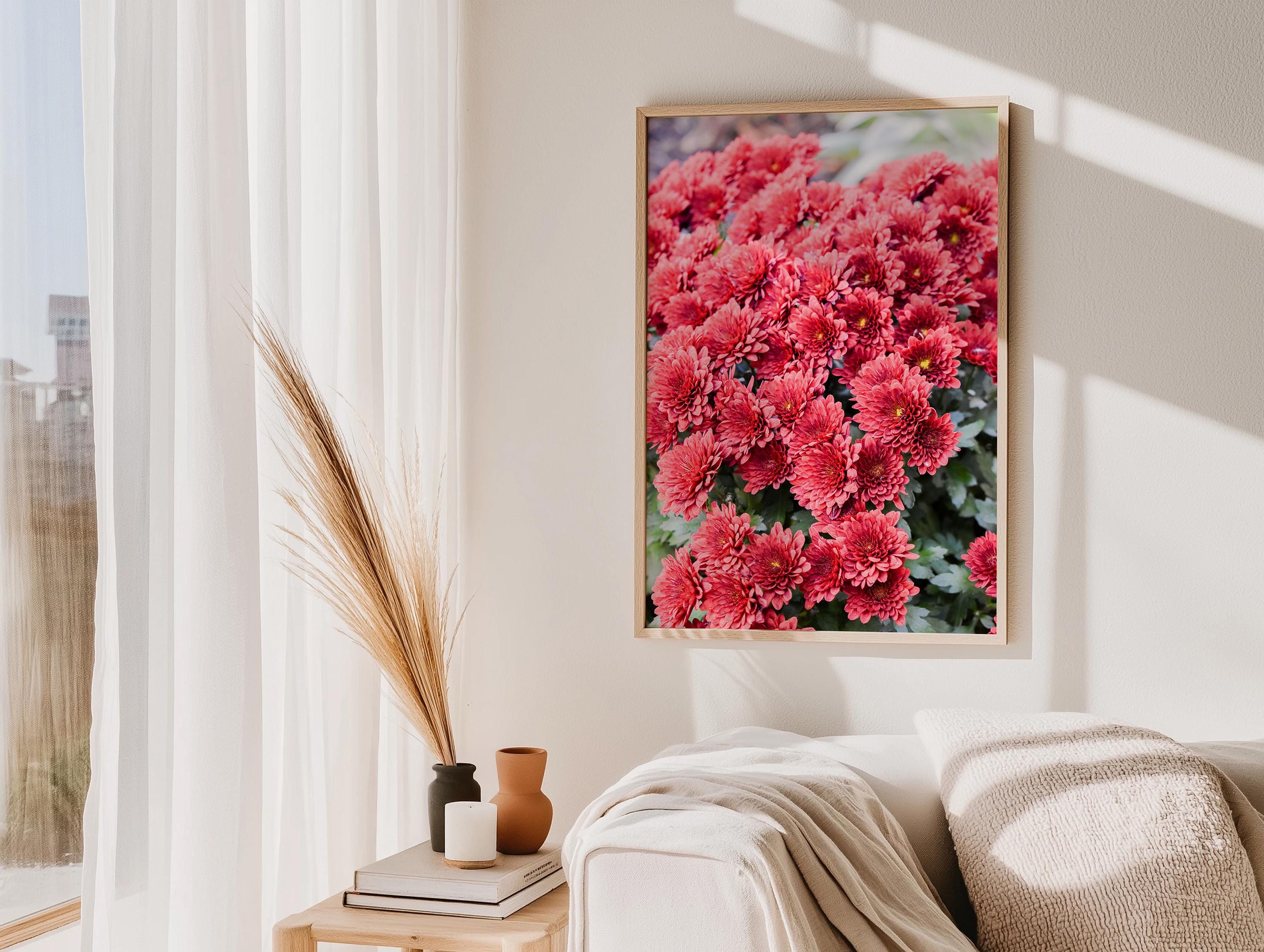 Red Chrysanthemum in NYC, Digital Download