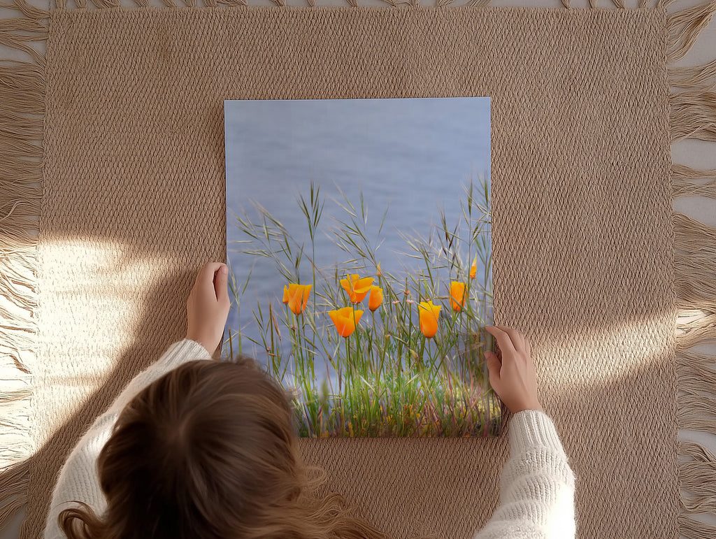 Golden Poppies in Bloom Print