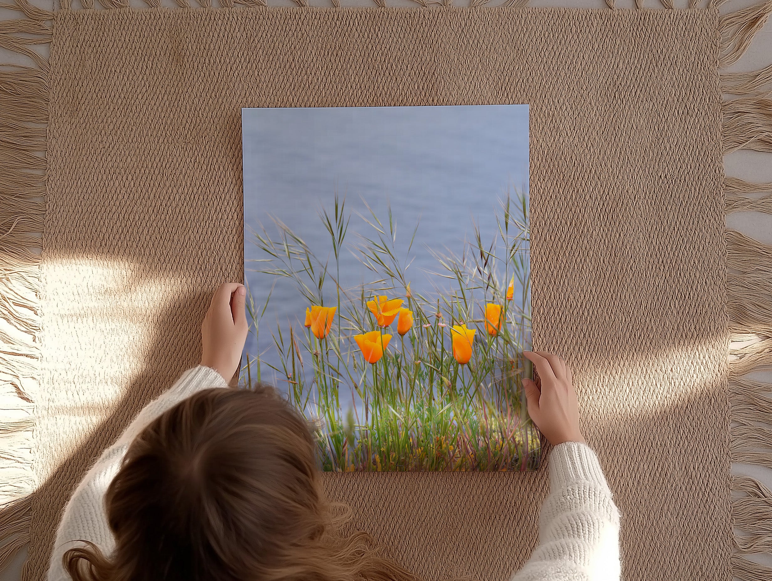 Golden Poppies in Bloom Print
