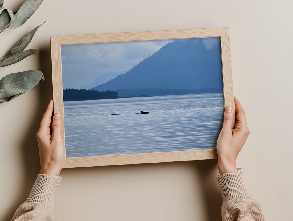 Killer Whale on the Sea Print