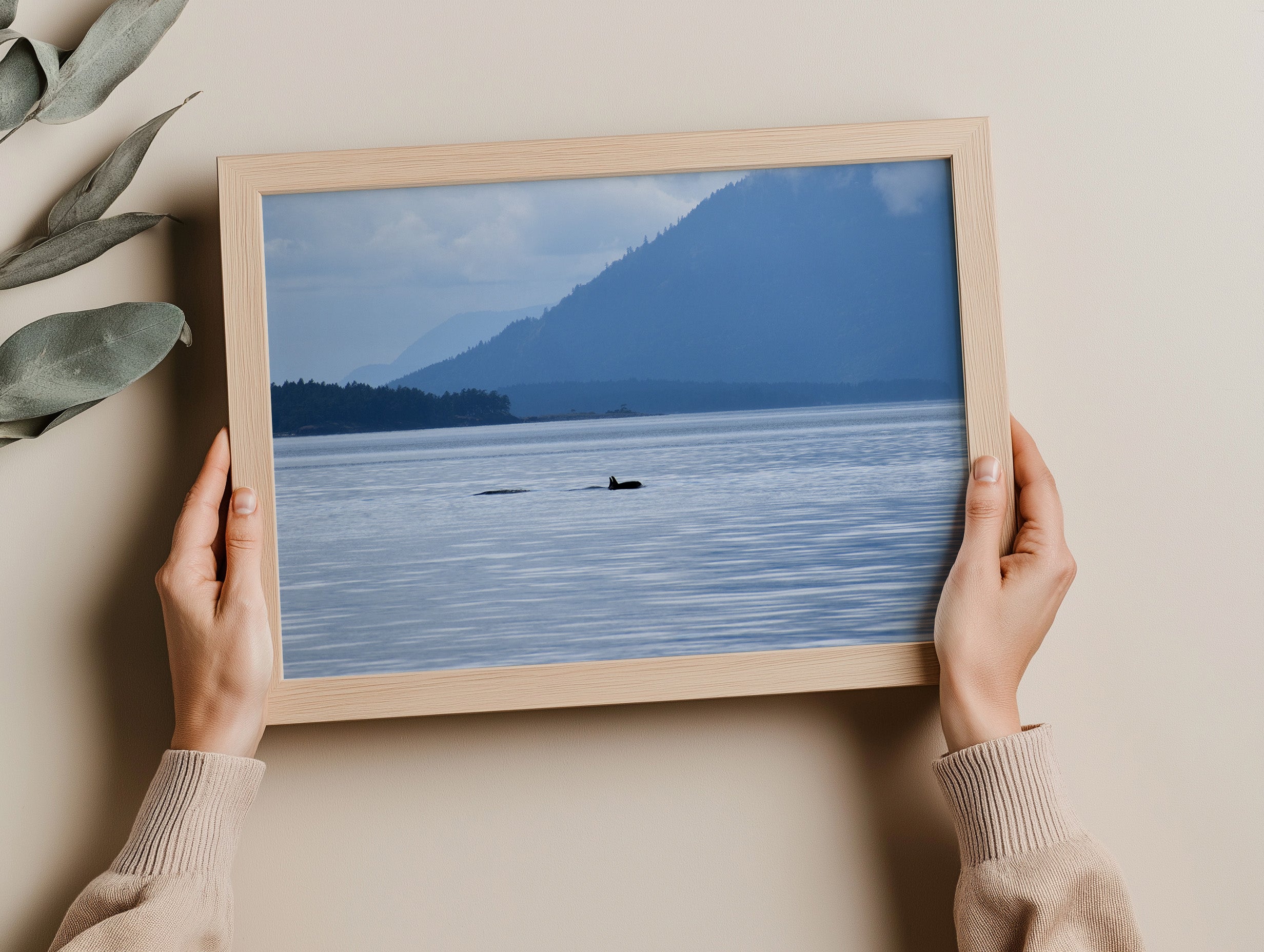Killer Whale on the Sea Print