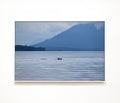 Killer Whale on the Sea Print