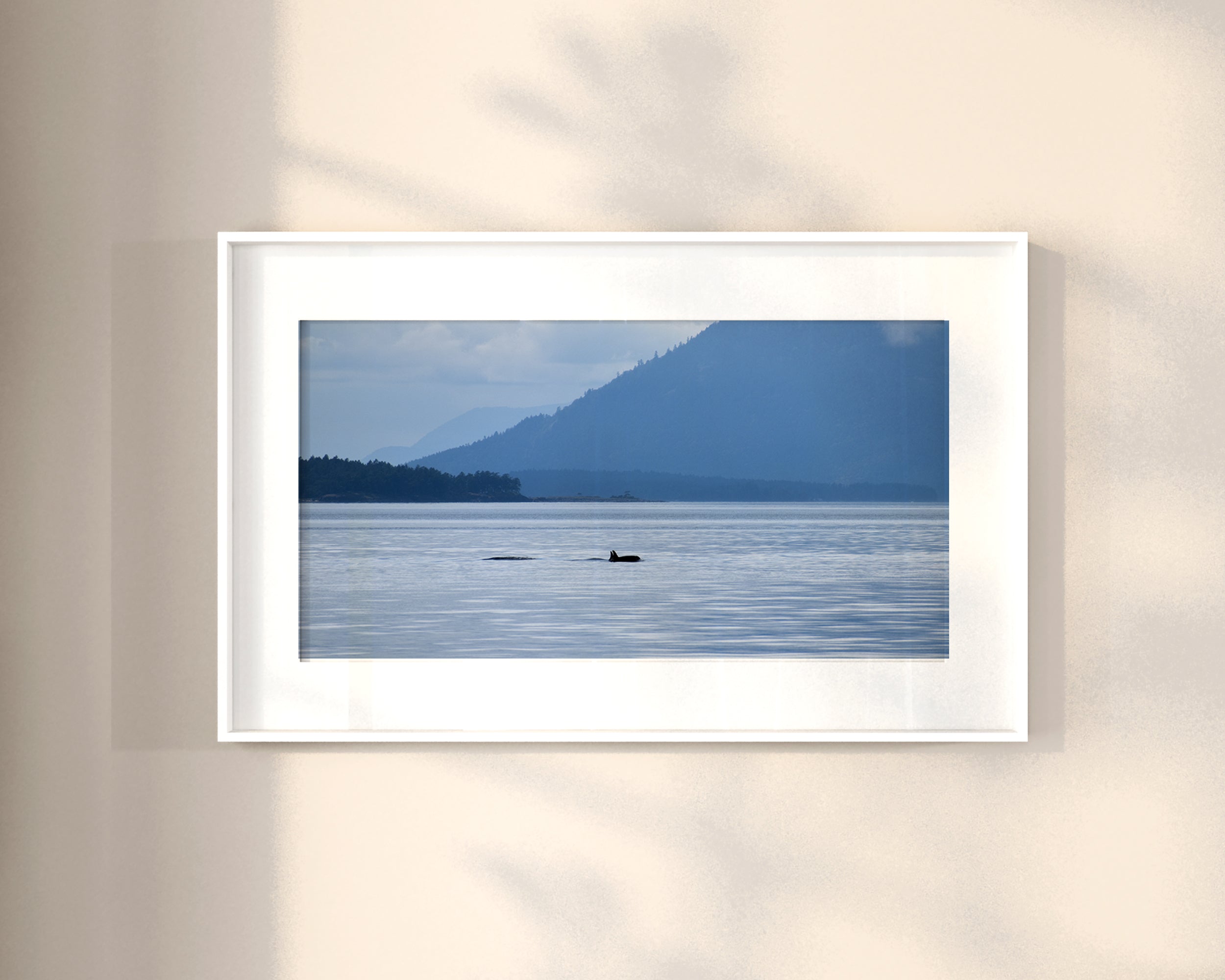 Killer Whale on the Sea Print