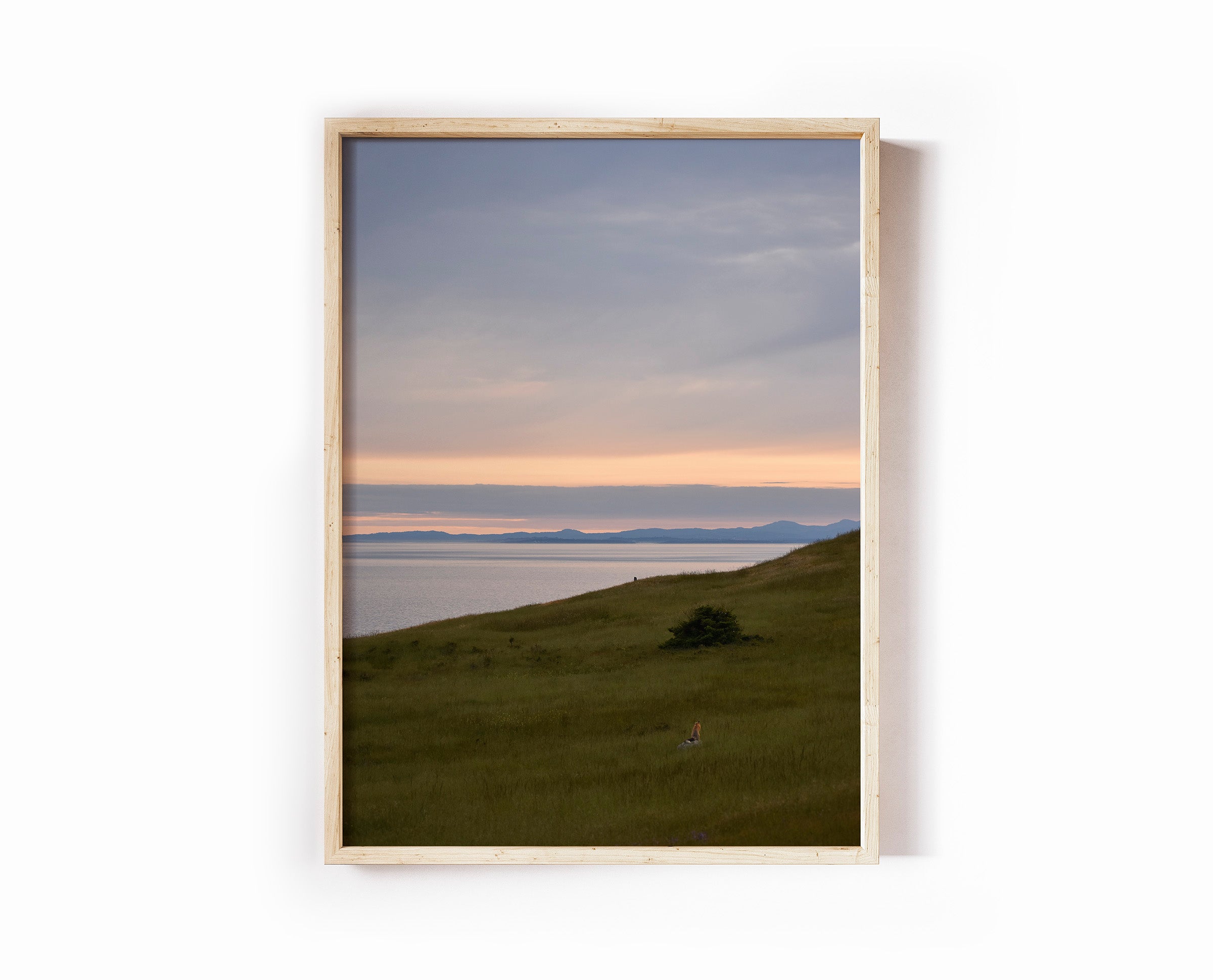 Pensive Fox at Dusk Print