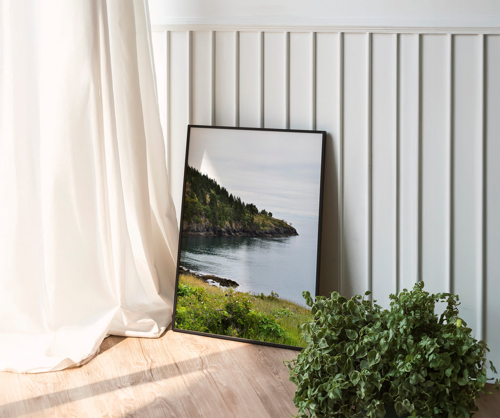 Where Pines Meet the Sound Print