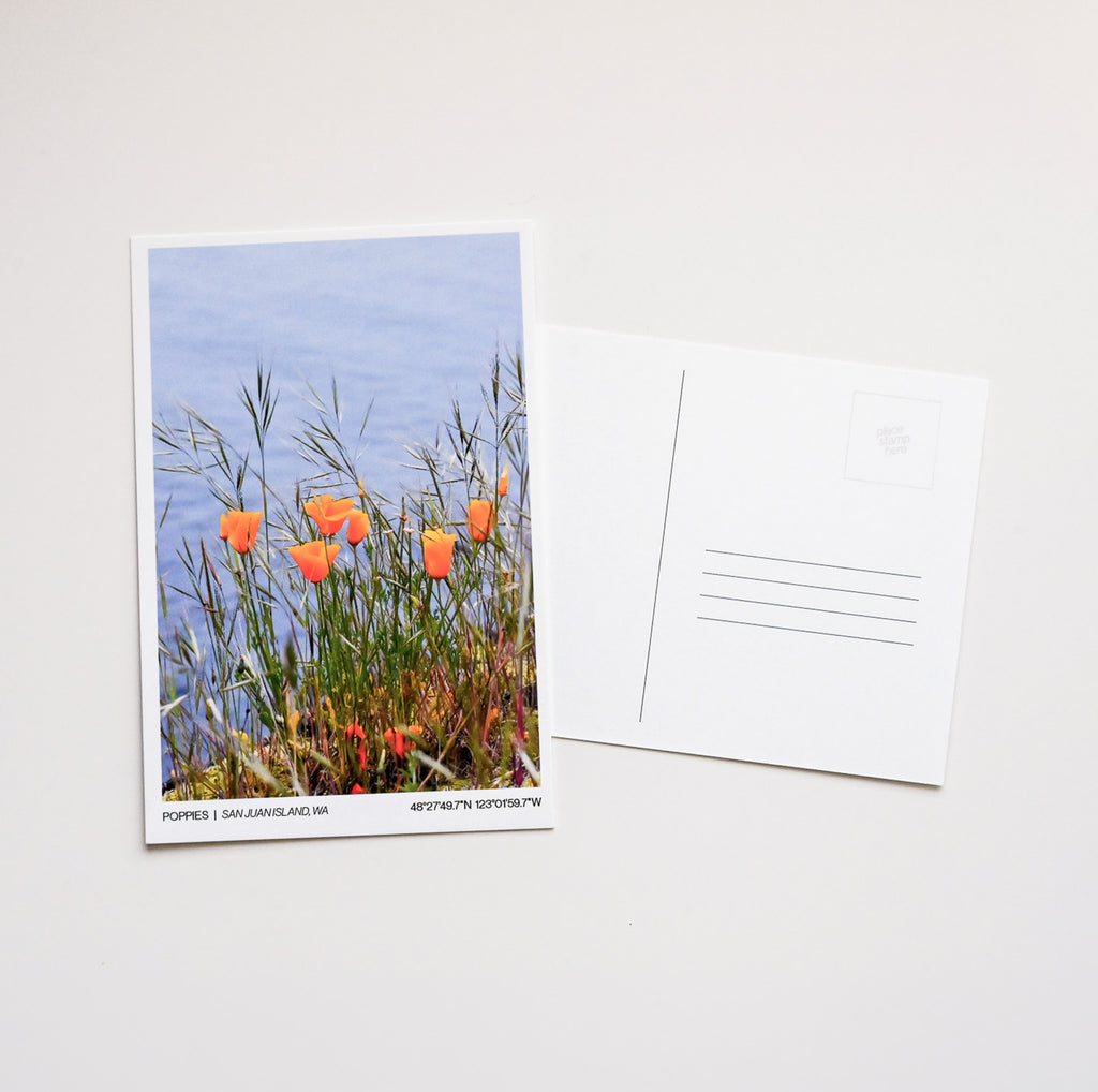 Poppies | San Juan Island, WA - Post Card