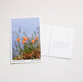 Poppies | San Juan Island, WA - Post Card