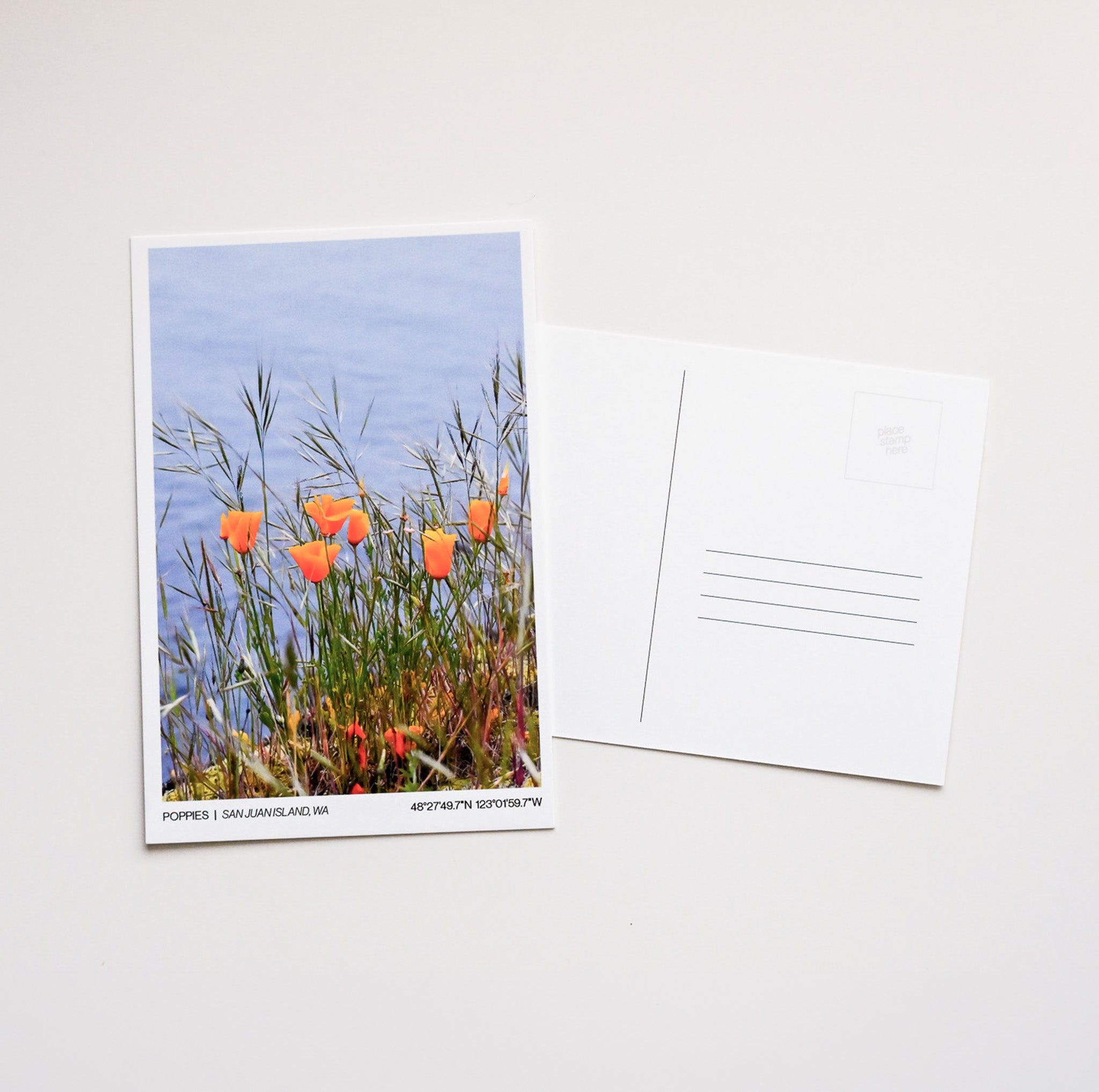 Poppies | San Juan Island, WA - Post Card
