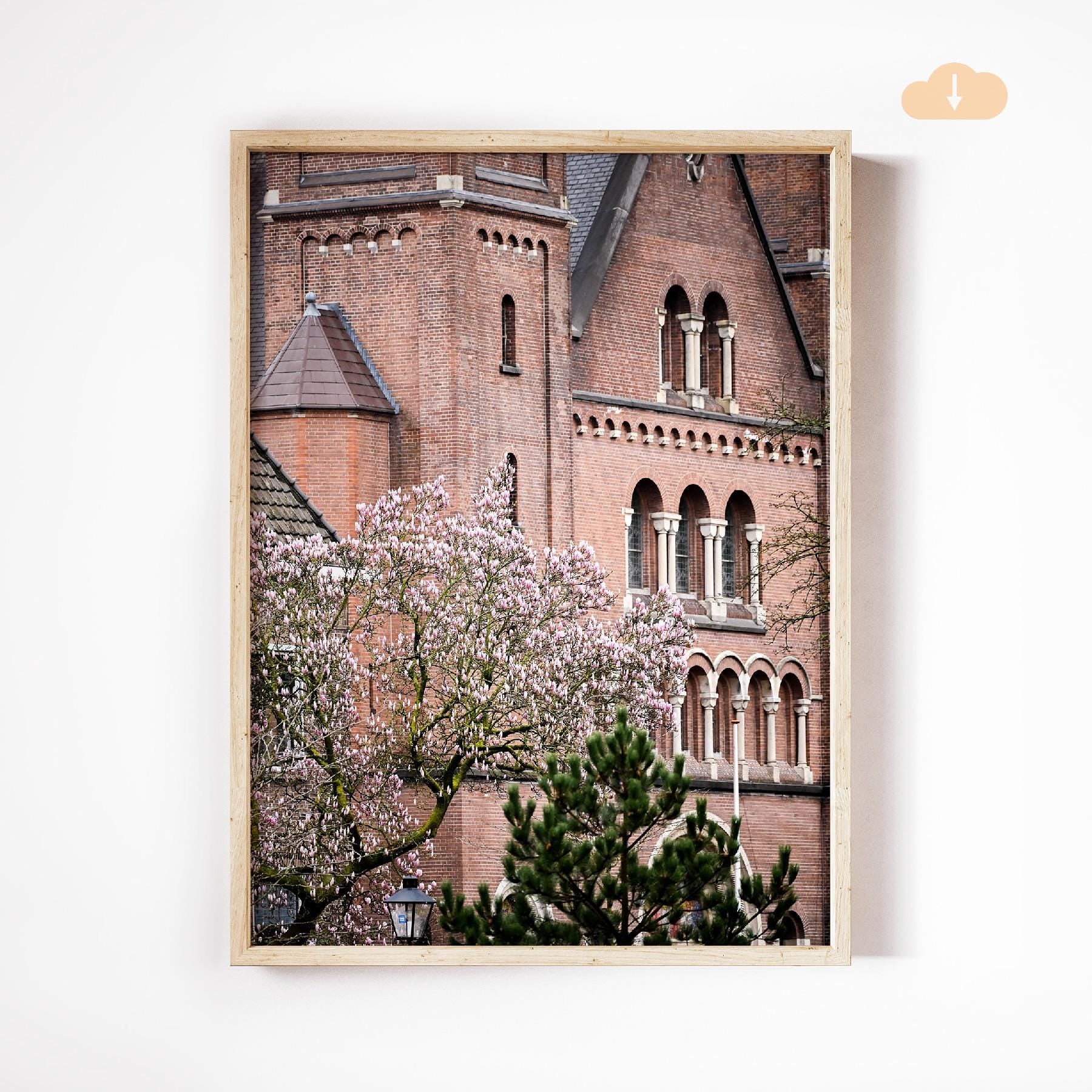 Spring Buds in Utrecht, Digital Download