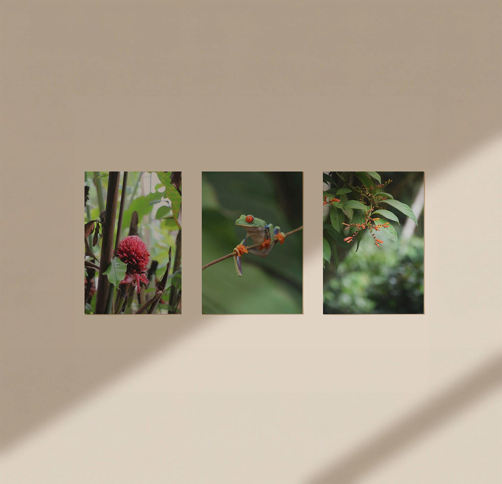 Set of 3 Travel Prints - Nature in La Fortuna, Costa Rica - Digital Download
