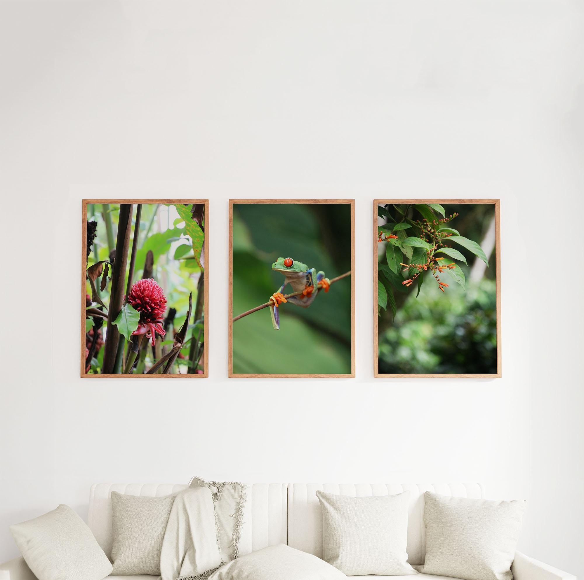 Set of 3 Travel Prints - Nature in La Fortuna, Costa Rica - Digital Download