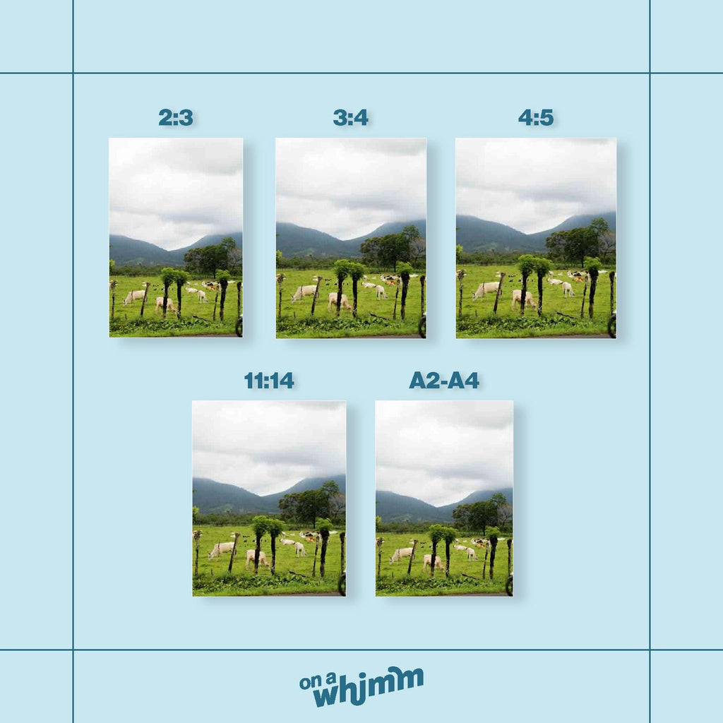 Cows in La Fortuna, Digital Download