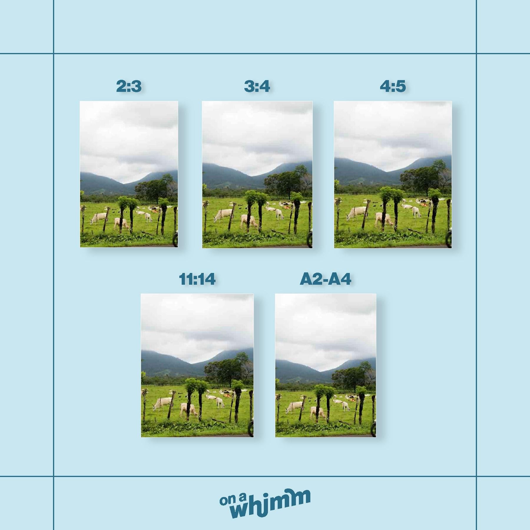 Cows in La Fortuna, Digital Download