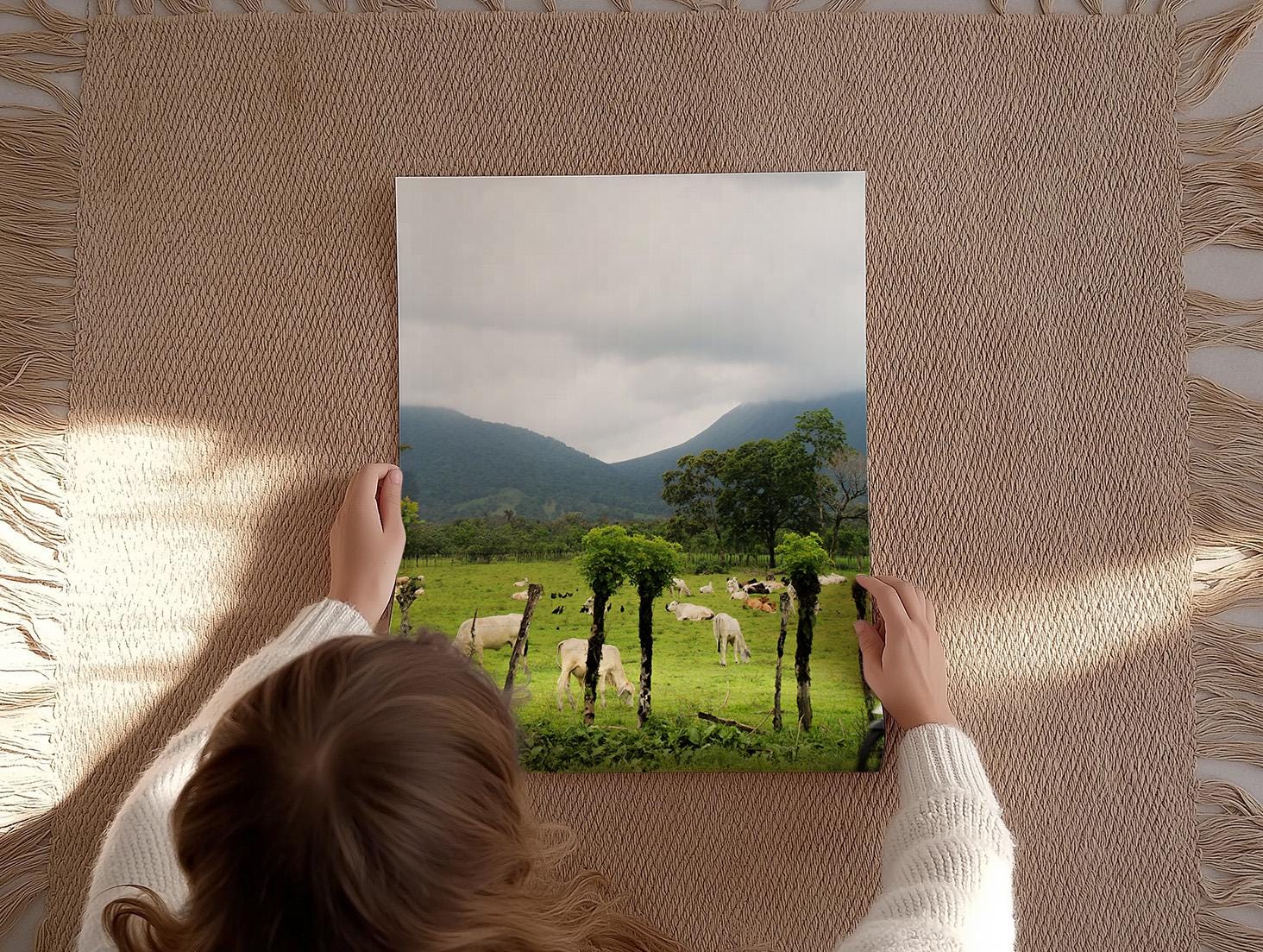 Cows in La Fortuna, Digital Download