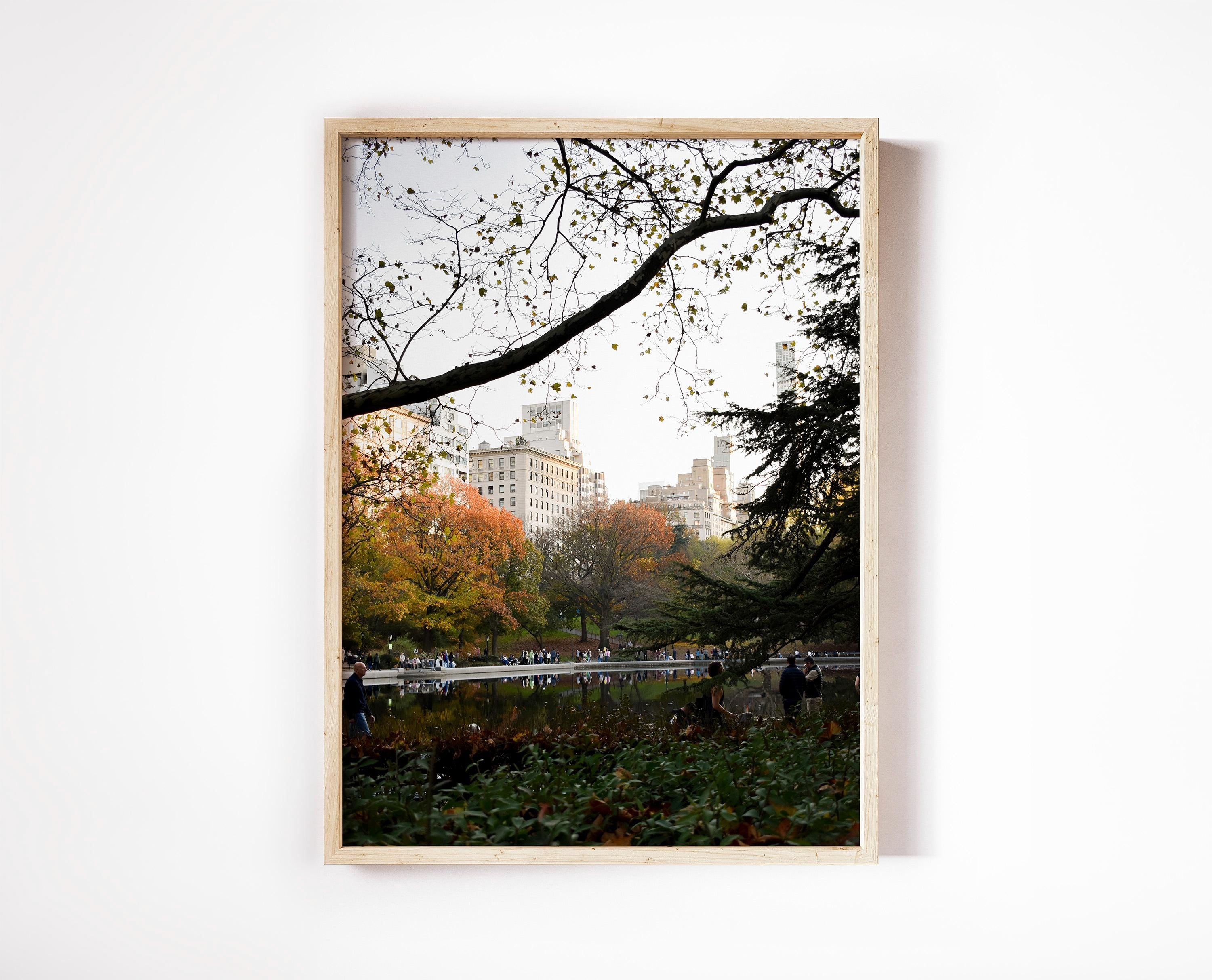 Central Park Autumn Print