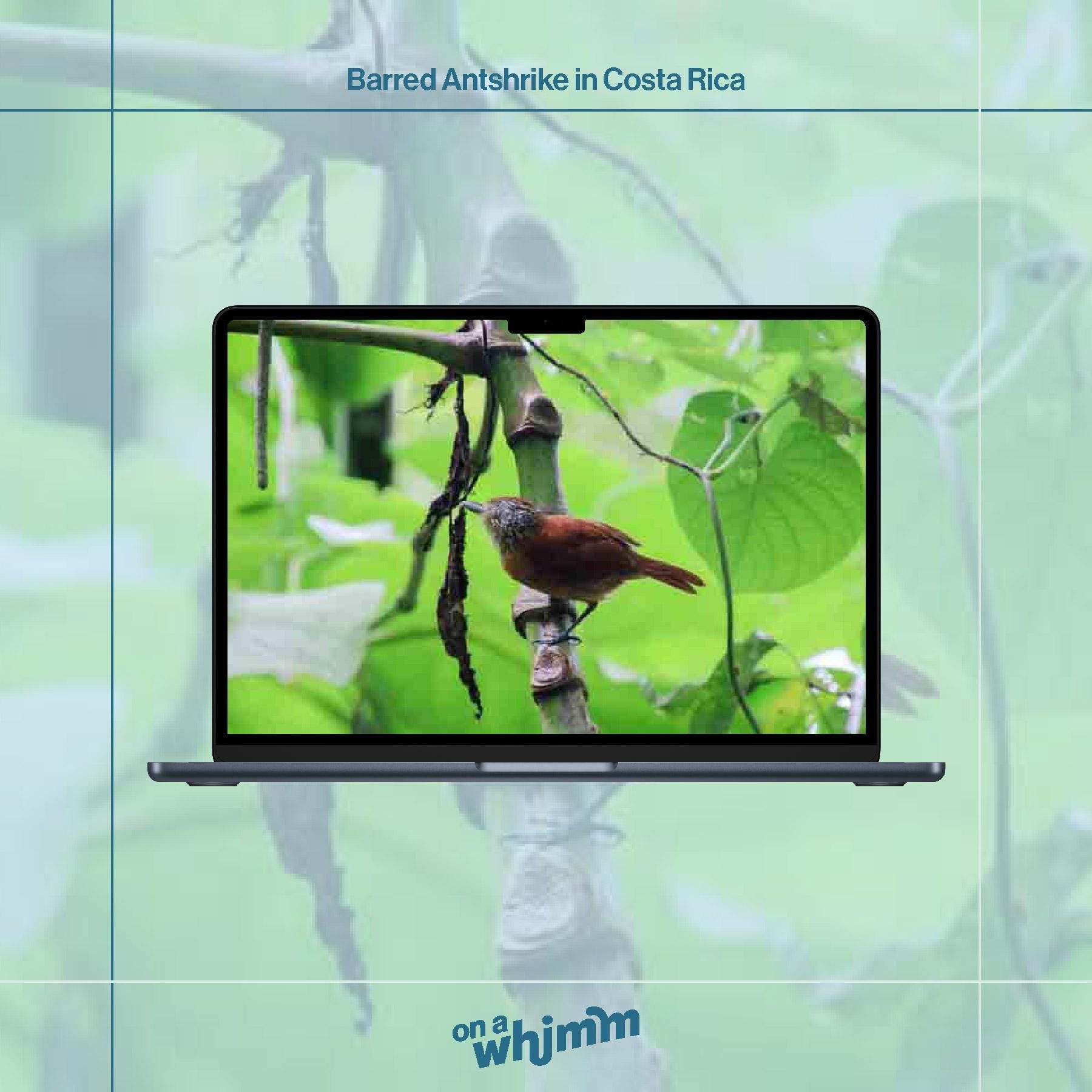 Desktop Screensavers - Costa Rica Computer Pack - Digital Download