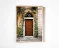 Door with Vines in Italy Print