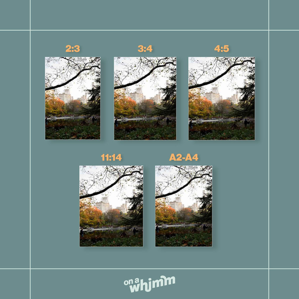 Central Park Autumn, Digital Download