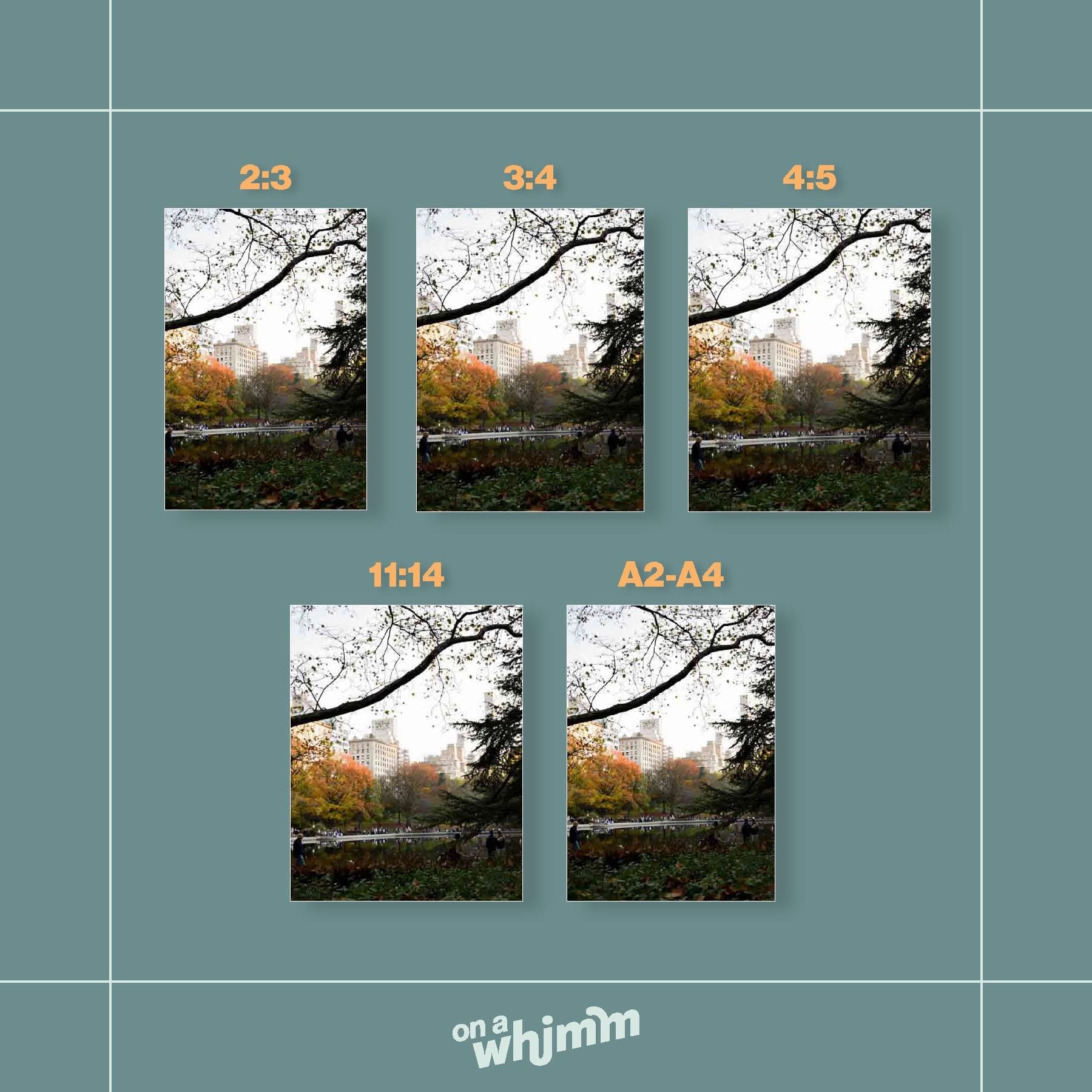 Central Park Autumn, Digital Download
